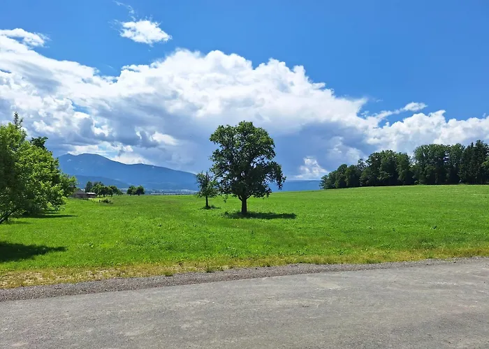 Orange Schindelbacherhof مكان تخييم